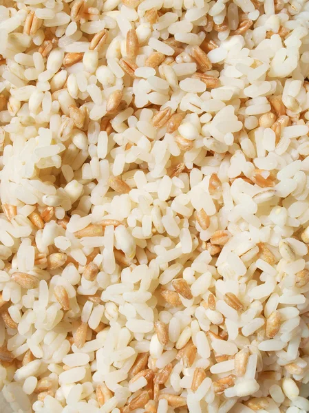 Mezcla de cereales — Foto de Stock