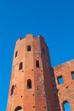 Torri palatine, Torino