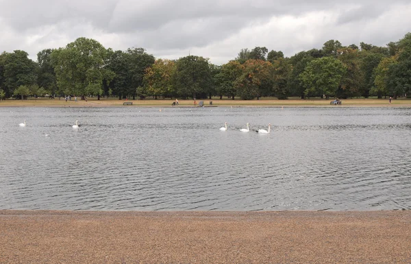 Kensington Gardens London — Stockfoto