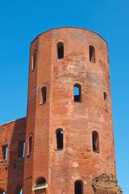Torri palatine, Torino