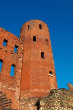 Torri palatine, Torino