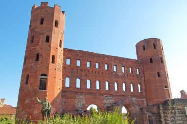 Torri palatine, Torino