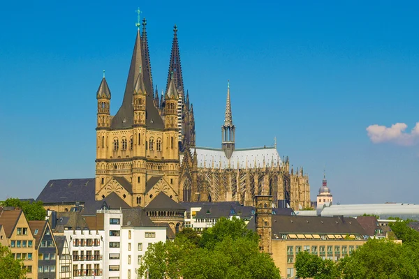 Koeln panorama — Stok Foto