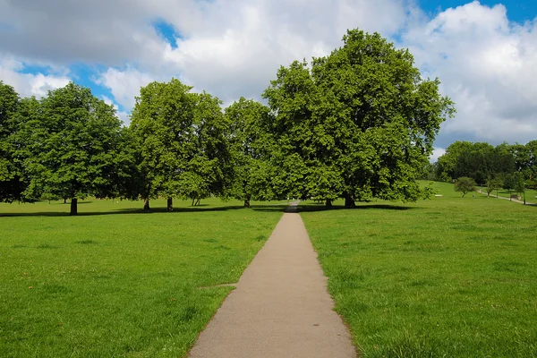 Ріджентс-парк, Лондон — стокове фото
