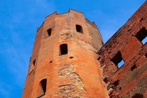 Torri palatine, Torino — Stok fotoğraf