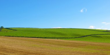 Cardross hill