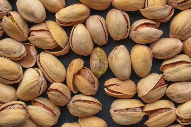 vista del fiordo en Noruega