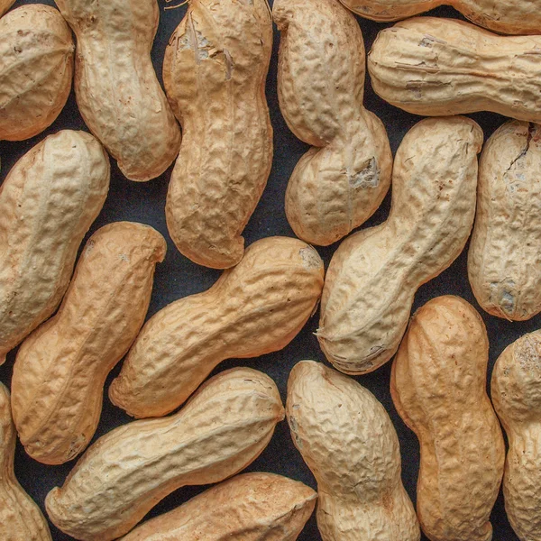 Peanut picture — Stock Photo, Image