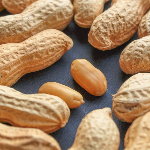 Peanut picture — Stock Photo, Image