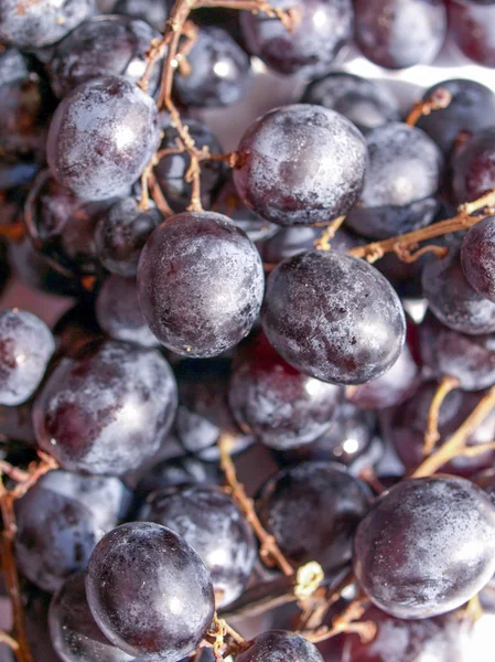 Obraz winogron — Zdjęcie stockowe