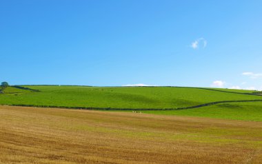 Cardross hill