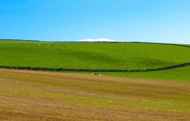 Cardross hill