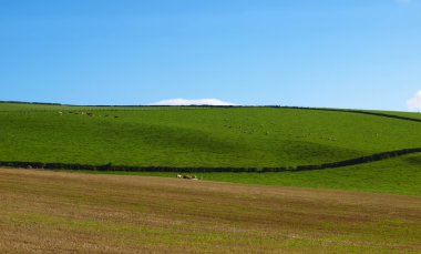 Cardross hill