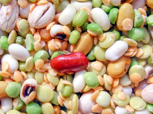 Ensalada de frijoles — Foto de Stock