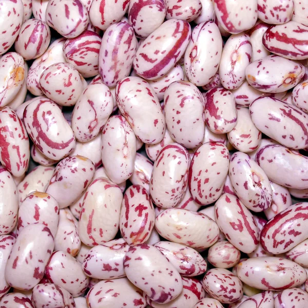 Ensalada de frijoles —  Fotos de Stock