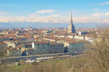 Turin görünümü