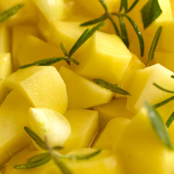 Aardappelen foto — Stockfoto