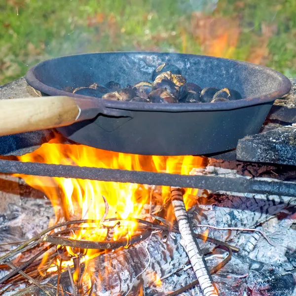 Barbecue — Foto Stock