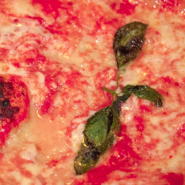 Pizza margherita — Zdjęcie stockowe