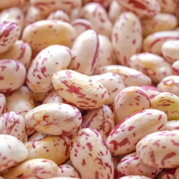 Salada de feijão — Fotografia de Stock