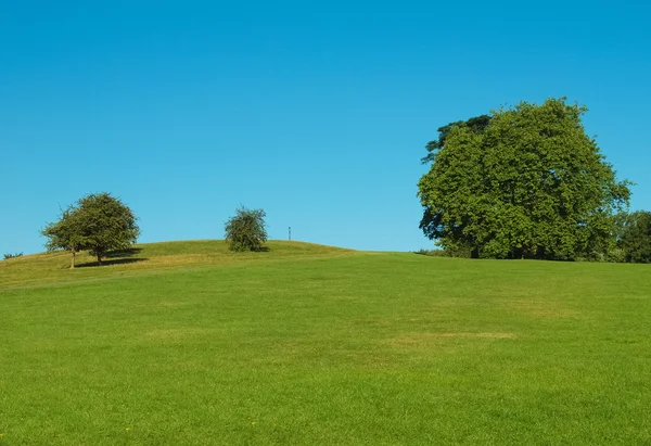 Primrose hill Лондон — стокове фото