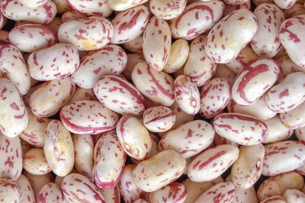 Salada de feijão — Fotografia de Stock