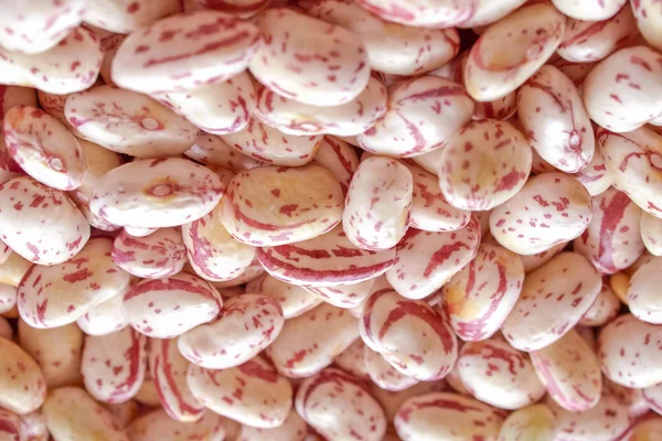 Salada de feijão — Fotografia de Stock