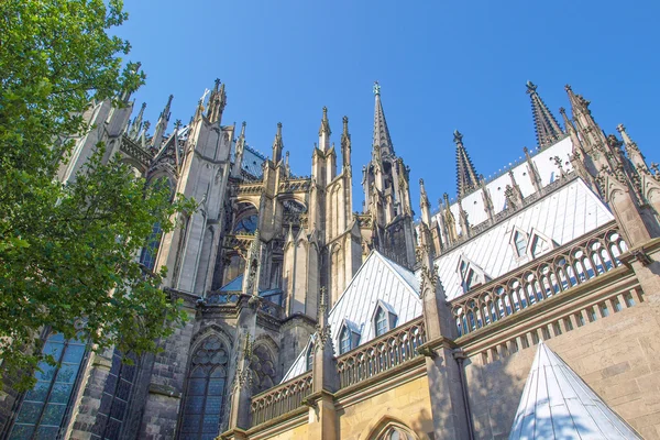 Koeln Dom — Foto Stock