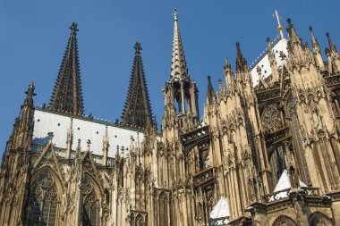 Köln dom