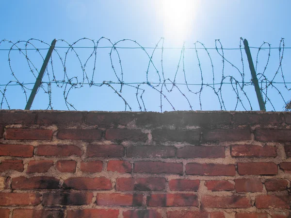 Barbed wire — Stock Photo, Image