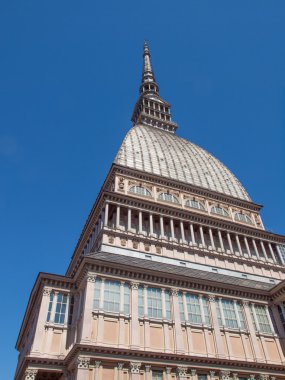 köstebek antonelliana turin