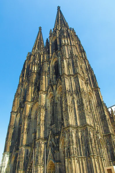 Koeln Dom — Stock Photo, Image