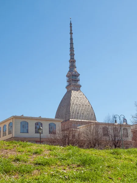 Köstebek antonelliana turin — Stok fotoğraf