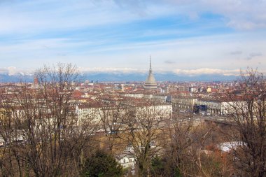 Turin görünümü