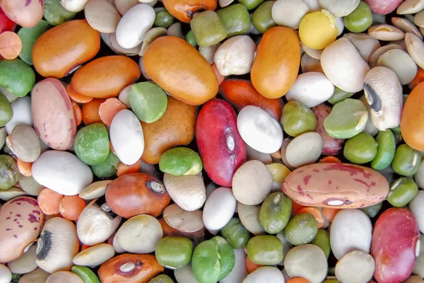 豆サラダ — ストック写真