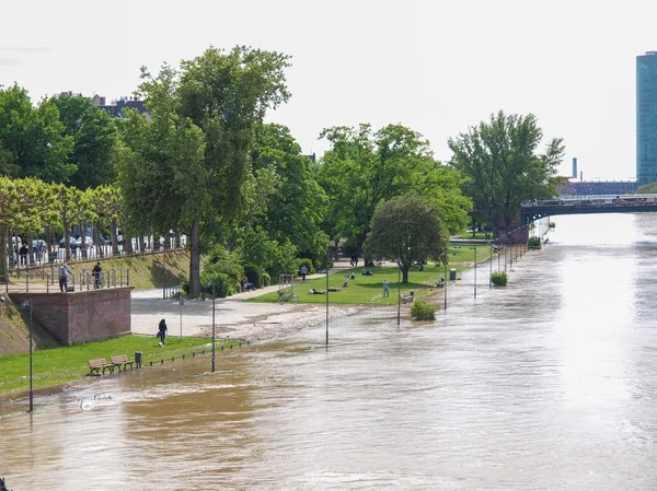 Hochwasser in Frankfurt — Stockfoto