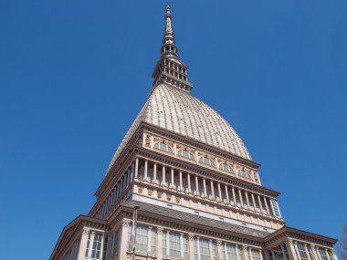 köstebek antonelliana turin