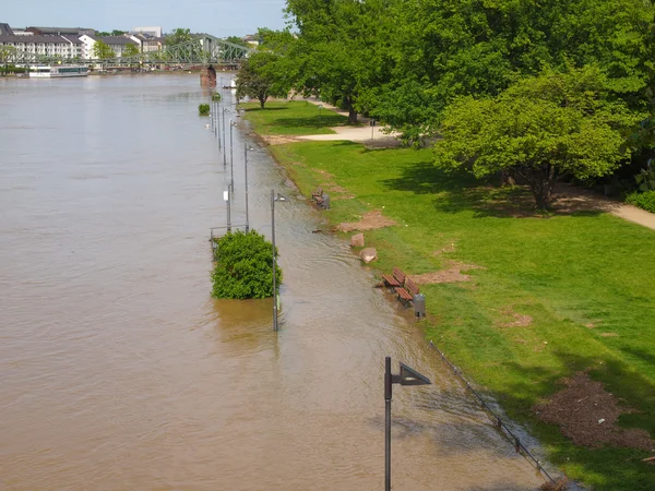 Flood in Germany — Stock Photo, Image