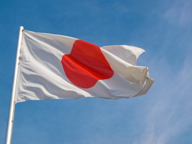 Japon Bayrağı