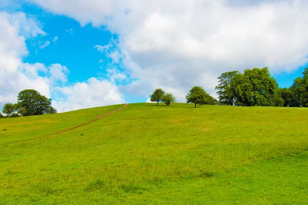 Primrose Hill, Лондон — стокове фото