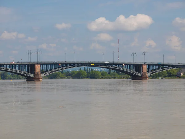 Rhein in Mainz — Stockfoto