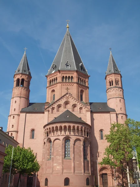 Mainz Cathedral — Stock Photo, Image