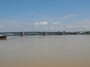 Ren Nehri Mainz