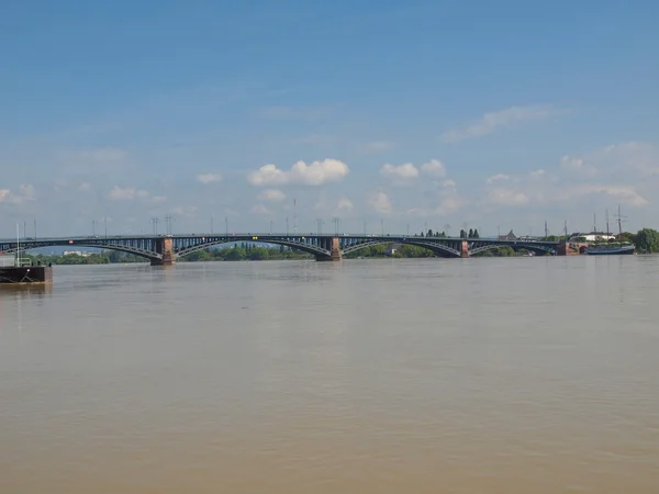 마인츠에서 라인 강 — 스톡 사진