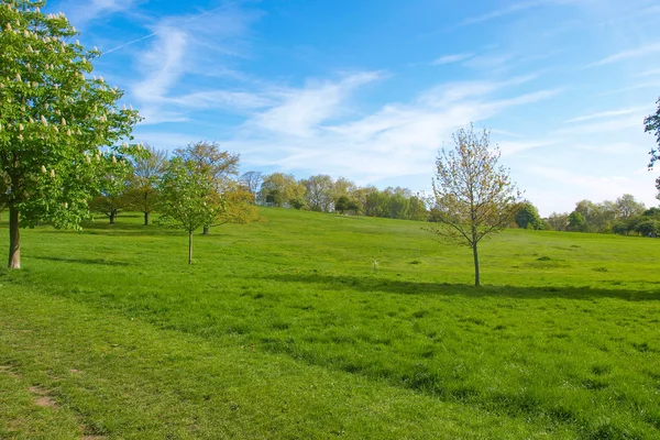 Primrose hill, Londen — Stockfoto