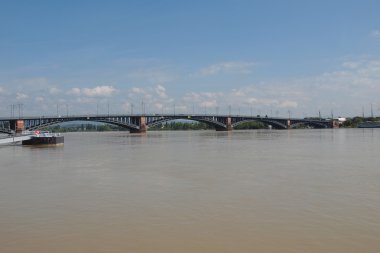 Ren Nehri Mainz