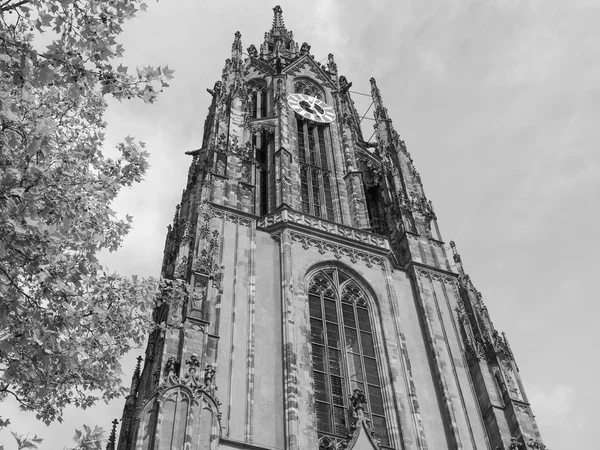 Katedralen - Stock-foto