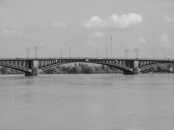 Rhine river in Mainz — Stock Photo, Image
