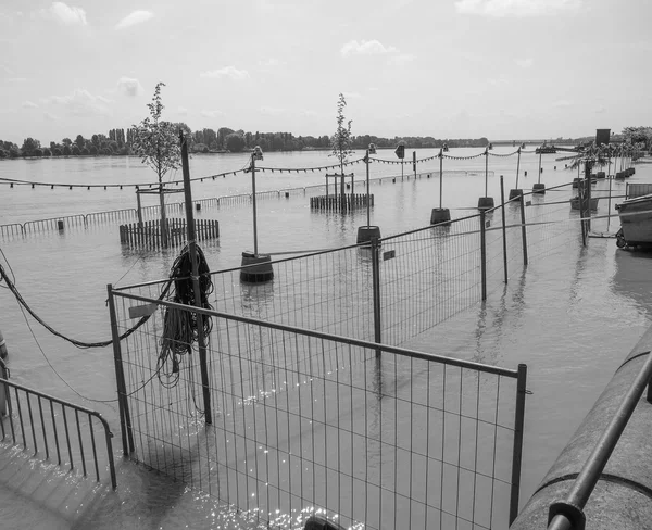 Flood in Germany — Stock Photo, Image