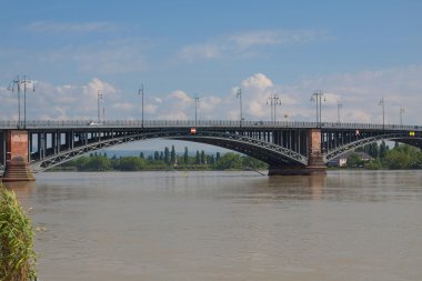 Ren Nehri Mainz